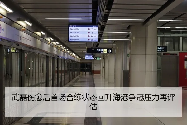 武磊伤愈后首场合练状态回升海港争冠压力再评估